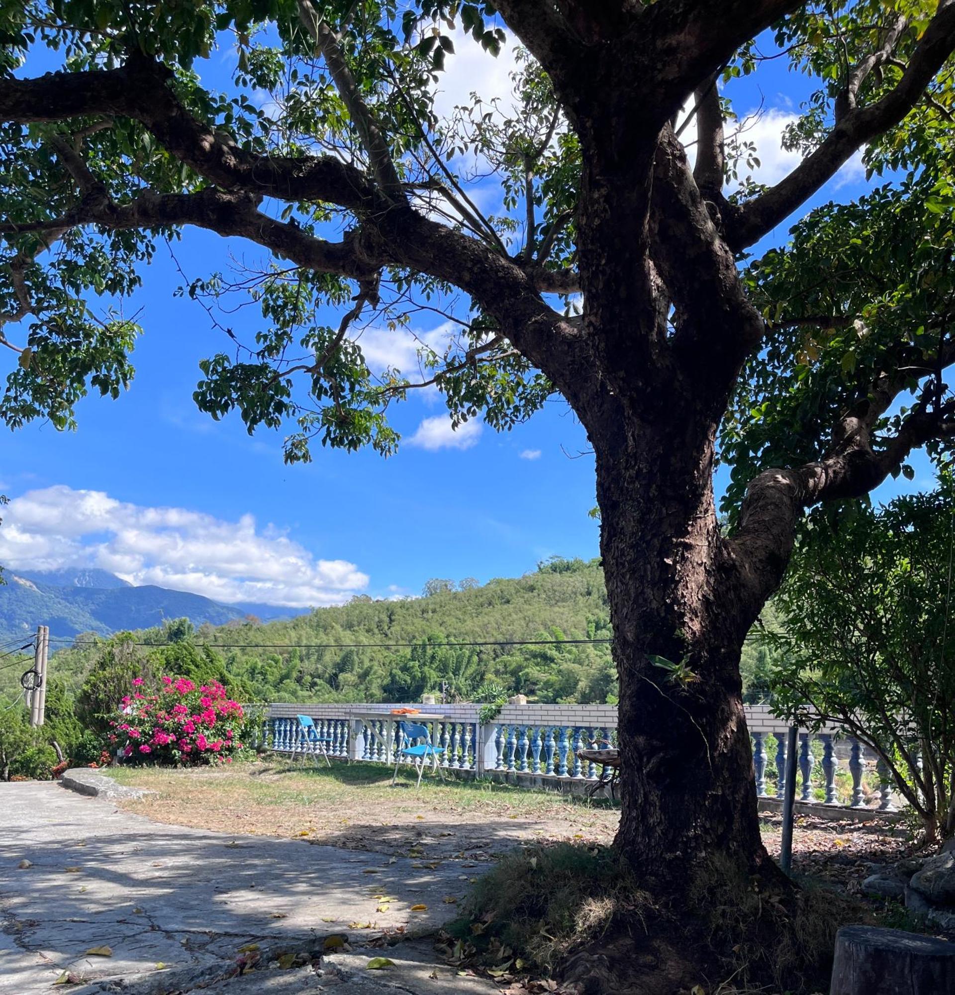 Отель 十畝田山莊會館 Чишан Экстерьер фото